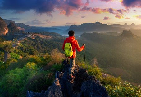 Wildlife Safari Adventure with Local Expert Guide